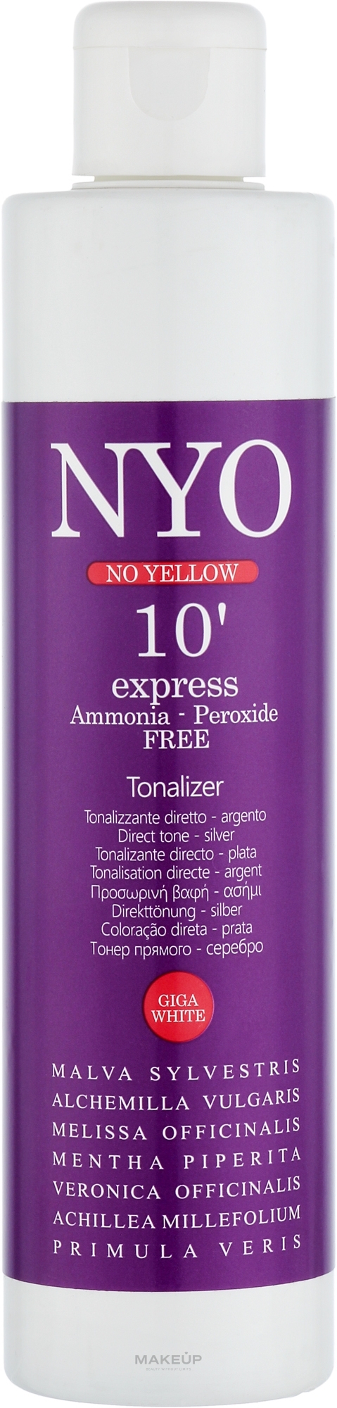 Експрес-тонер для волосся "Срібло" - Faipa Roma Nyo No Yellow 10 Express Tonalizer — фото 150ml