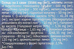 Комплекс для захисту міжхребцевих дисків і суглобів "Вертебра" - Schonen Vertebra — фото N4