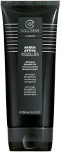 Парфумерія, косметика Collistar Acqua Attiva Assoluta Doccia-Shampoo - Шампунь-гель для душу