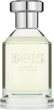 Bois 1920 Parana - Парфумована вода (тестер з кришечкою) — фото N1