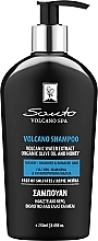 Духи, Парфюмерия, косметика Шампунь для сухих окрашенных волос - Santo Volcano Spa Shampoo for Dry Coloured Hair