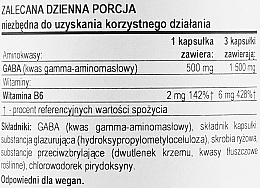 Аминокислота GABA с витамином B6, 500 мг - Now Foods GABA with Vitamin B6 500 mg — фото N3