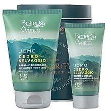 Bottega Verde Cedro Selvaggio - Набор (ash/balm/75ml + sh/gel/50ml + metal/box/1pc) — фото N1