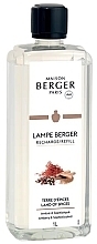 Maison Berger Land Of Spices Refill - Наполнитель для аромалампы — фото N1