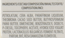 Бальзам для губ c пробиотиком и органическим розовым маслом - BioFresh Yoghurt & Organic Rose Oil Lip Balm — фото N4