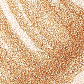 Освещающий увлажнитель с золотыми частицами - Yonelle Metamorphosis Gold Flash Moisturizer Champagne Glow — фото N2