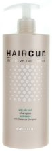 Духи, Парфюмерия, косметика Шампунь против жирных волос - Brelil Hair Cur Anti Oily Hair Shampoo