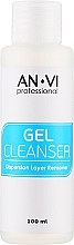 Средство для удаления липкого слоя - AN-VI Professional Gel Cleanser — фото N1