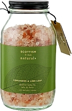 Соль для ванны "Кориандр и листья лайма" - Scottish Fine Soaps Naturals Coriander & Lime Leaf Bath Salts — фото N1