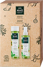 Духи, Парфюмерия, косметика Набор - N.A.E. Repairing Set (shampoo/250ml + b/spray/200ml)