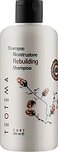 Духи, Парфюмерия, косметика Шампунь восстанавливающий - Teotema Care Rebuilding Shampoo