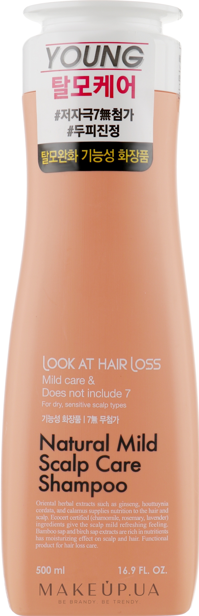 Шампунь для сухих волос - Doori Cosmetics Look At Hair Loss Natural Mild Scalp Shampoo — фото 500ml