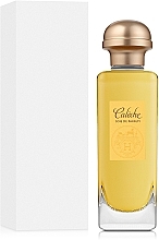 Hermes Caleche Soie de Parfum - Парфюмированная вода (тестер с крышечкой) — фото N2