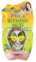 Парфумерія, косметика Грязевая маска - 7th Heaven Blemish Mud Mask