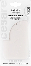 Парфумерія, косметика Mr&Mrs Fragrance Cesare Scented Card Fresh Air - Ароматичне саше