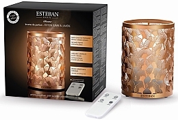 Духи, Парфюмерия, косметика Диффузор - Esteban Perfume Mist Diffuser Light &Copper Edition