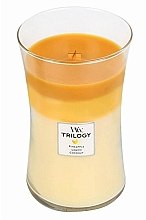 Духи, Парфюмерия, косметика Ароматическая свеча в стакане - WoodWick Hourglass Trilogy Candle Fruits of Summer