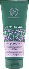 Парфумерія, косметика Шампунь для об'єму тонкого волосся - Fresh Line Botanical Hair Remedies Volume Euterpe