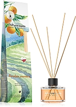 Парфумерія, косметика Аромадифузор "Бразильський апельсин" з паличками - Allverne Home&Essences Diffuser