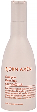 Шампунь для окрашенных волос - BjOrn AxEn Color Stay Shampoo — фото N1