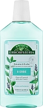 Ополіскувач для ротової порожнини "8 трав" - Antica Erboristeria 8 Herbs Daily — фото N1