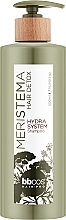 Парфумерія, косметика Шампунь зволожувальний на основі стовбурових клітин - BBcos Meristema Hydra System Shampoo