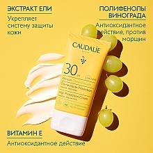 Сонцезахисний крем з SPF30 - Caudalie Vinosun High Protection Cream SPF30 — фото N5