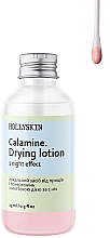 Локальний засіб від прищів і почервонінь з миттєвою дією за 1 ніч - Hollyskin Calamin. Drying Lotion — фото N2