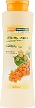 Духи, Парфюмерия, косметика Шампунь-питание для сухих и поврежденных волос - Bielita Buckthorn & Lime Shampoo