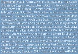 Увлажняющая эмульсия с гиалуроновой кислотой - Jigott Aura Secret Hyaluronic Acid Emulsion — фото N3