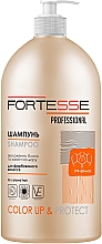 Шампунь для окрашенных волос "Стойкость цвета" - Fortesse Professional Color Up & Protect Shampoo — фото N2