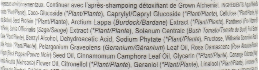 Детокс-шампунь - Grown Alchemist Detox Shampoo Hydrolyzed Silk Protein & Black Pepper & Sage — фото N2