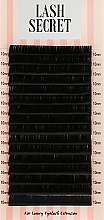 Парфумерія, косметика Накладні вії, чорні, 16 ліній (один розмір, 0.1, D, 10) - Lash Secret