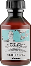Парфумерія, косметика Зволожуючий шампунь для всіх типів волосся - Davines Well Being Shampoo