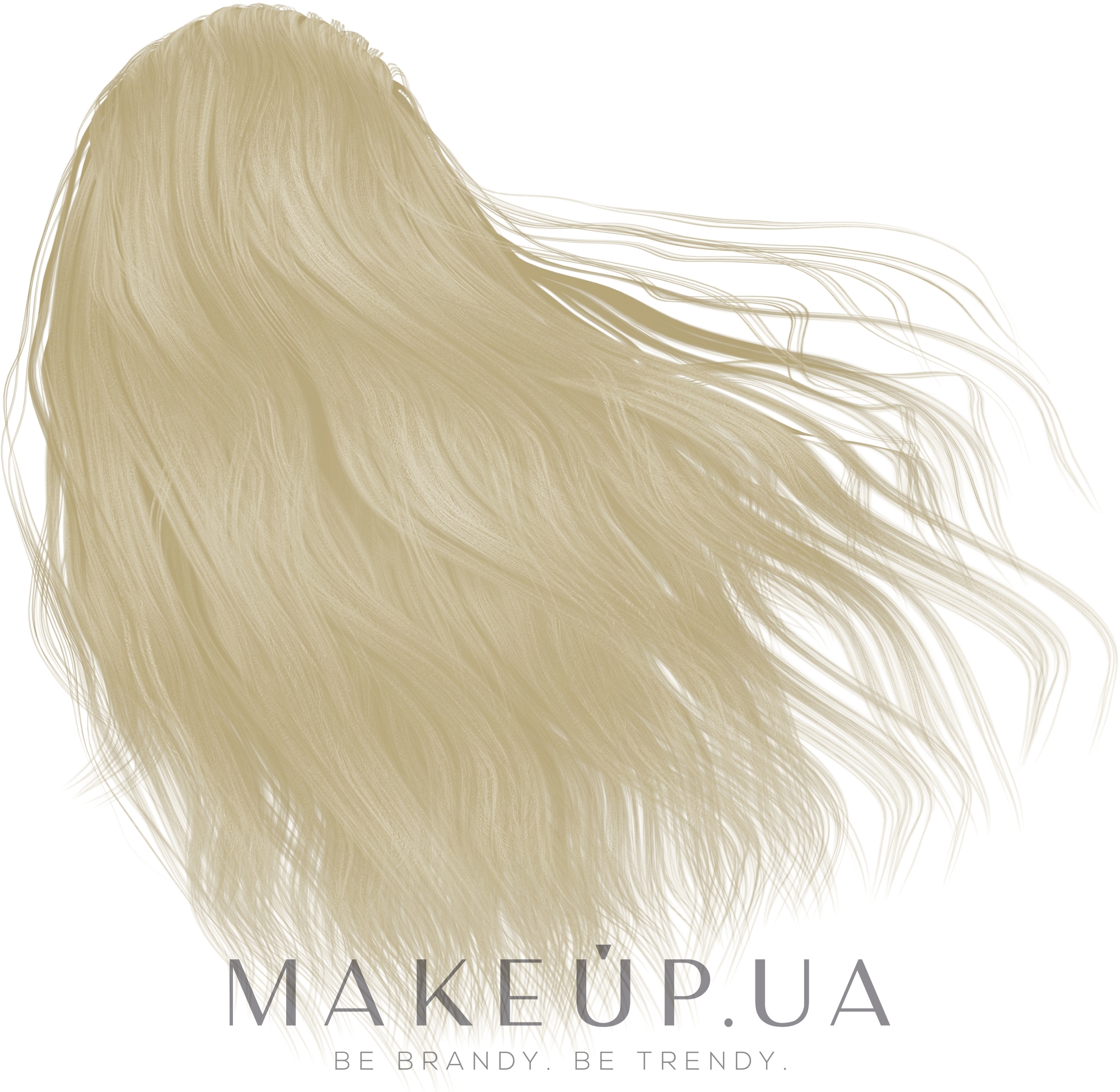 Стойкая крем-краска для волос - Master LUX Professional Permanent Hair Color Cream — фото 0.00N - Чистый тон натуральный