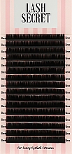 Накладные ресницы, черные, 16 линий (один размер, 0,07, C, 8) - Lash Secret — фото N1