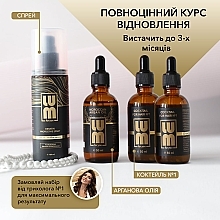 Набір "Повноцінний курс відновлення до 3 місяців" - LUM (oil/50ml + hair/coc/2x50ml + spray/120ml) — фото N3