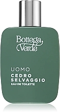 Bottega Verde Cedro Selvaggio - Туалетная вода — фото N2