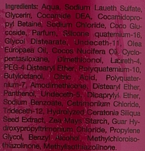 Шампунь для волос - Kallos Cosmetics Signature Shampoo — фото N2