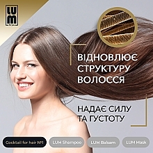 Набір "Професійний догляд за волоссям" - LUM (shm/250ml + h/balm/250ml + h/mask/200ml + hair/coc/50ml) — фото N5