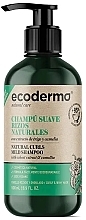 Парфумерія, косметика Шампунь для в'юнкого волосся - Ecoderma Natural Curls Mild Shampoo