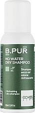 Парфумерія, косметика Шампунь сухий для волосся з рослинним вугіллям - Echosline B.Pur Dry Shampoo with Refreshing Action