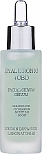 Парфумерія, косметика Сироватка для обличчя - London Botanical Laboratories Hyaluronic Acid+CBD Moisture Surge Serum