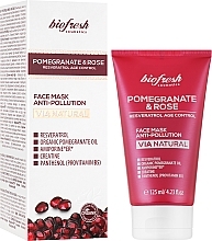 Очищувальна маска для обличчя "Гранат і троянда" - BioFresh Via Natural Pomegranate & Rose Face Mask Anti-Pollution — фото N2