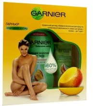 Парфумерія, косметика Набір «Природна турбота» - Garnier Skin Body (b/milk/250ml + h/cr/75ml)