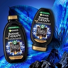 УЦЕНКА Балансирующий шампунь "Магнетический уголь" - Garnier Botanic Therapy Balancing Shampoo * — фото N8