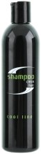 Духи, Парфюмерия, косметика Шампунь для волос - Periche Professional Clean Hair Shampoo