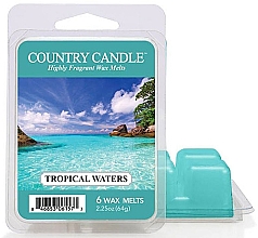 Парфумерія, косметика Віск для аромалампи - Country Candle Tropical Waters Wax Melts