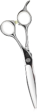 Ножиці для стрижки волосся - Sibel Cisoria OX625 — фото N1