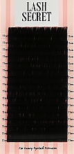 Накладні вії, чорні, 16 ліній (один розмір, 0,07, C, 11) - Lash Secret — фото N1